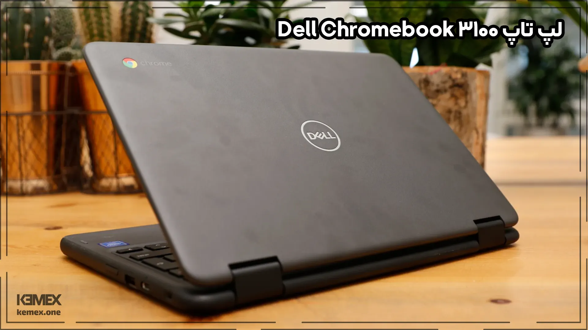 لپ تاپ Dell Chromebook 3100