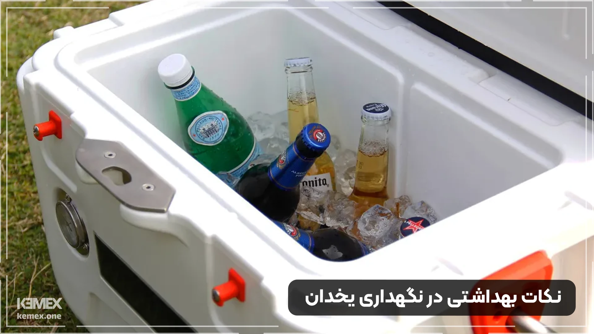 نکات بهداشتی در نگهداری یخدان