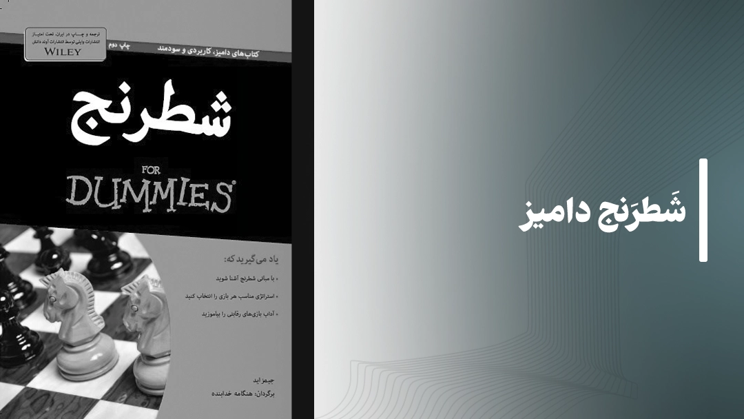 معرفی کتاب شطرنج دامیز (Chess For Dummies)