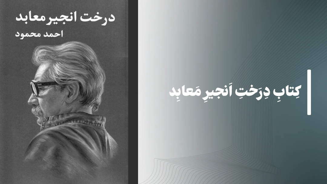 معرفی کتاب درخت انجیر معابد از احمد محمود