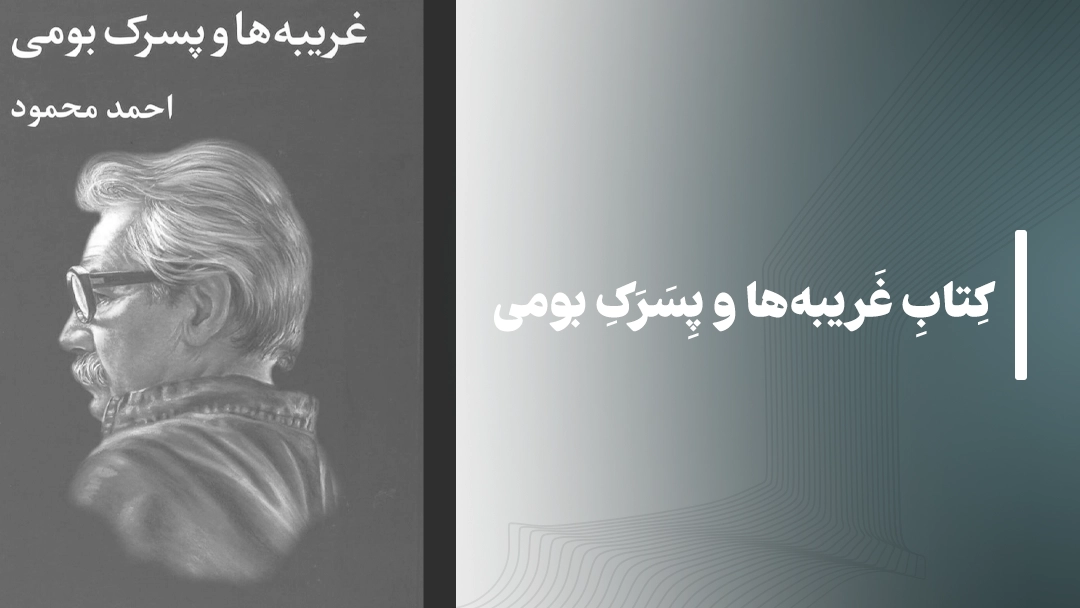 معرفی کتاب غریبه‌ها و پسرک بومی از احمد محمود