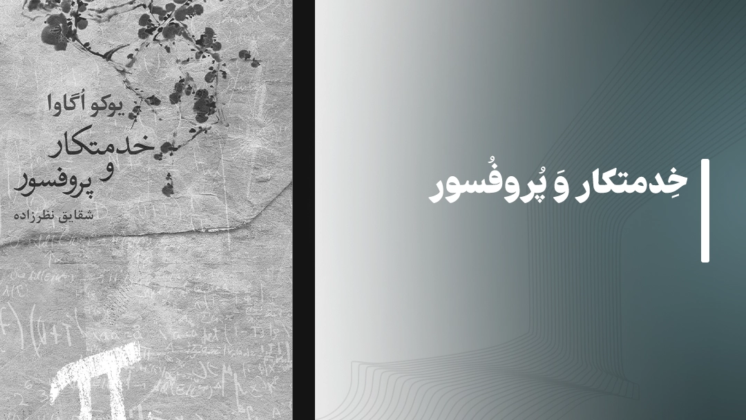معرفی کتاب خدمتکار و پروفسور